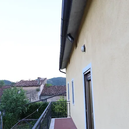 Ligustro * Laino Borgo